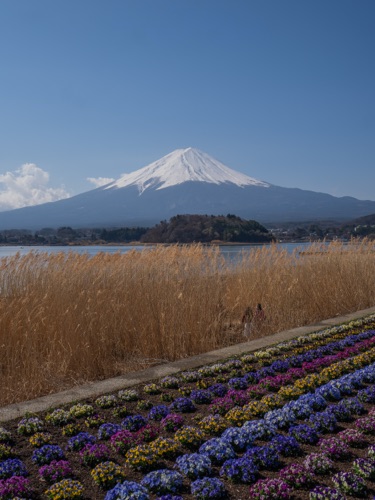Postcard scene from a trip to Japan
