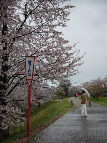 Postcard scene from a trip to Japan