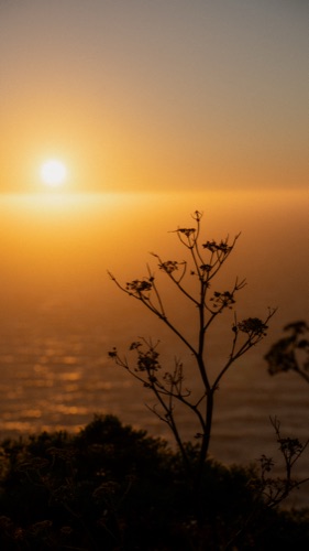 California