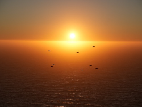 California