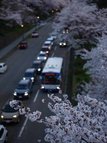 Postcard scene from a trip to Japan